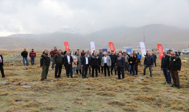 Erciyes Dağı'na lavanta ekildi