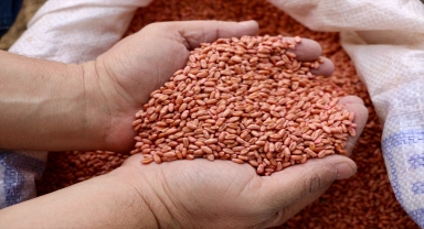 Eskişehir'in atıl arazileri 