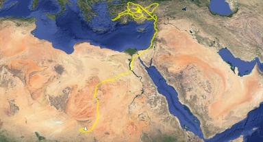 GRAFİKLİ - Konya'da takibe alınan bozkır kartalı, bir haftada Orta Afrika'ya ulaştı