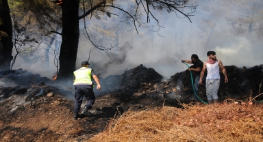 GÜNCELLEME - Antalya'da çıkan orman yangını kontrol altına alındı