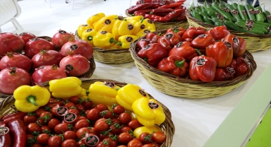 İthalatçı ve ihracatçılar, Interfresh Eurasia Yaş Meyve Sebze Fuarı'nda buluştu