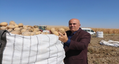 Karaman, cipslik patates üretimiyle ön plana çıkıyor