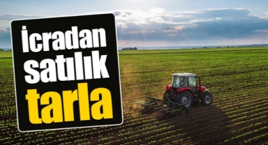 Karaman'da 2 tarla satışa çıkıyor