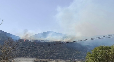 Kaş'ta makilik alandan çıkan yangına müdahale ediliyor