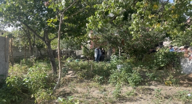 Kayseri'de ağaçtan düşen kişi hayatını kaybetti