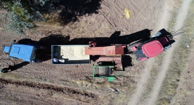 Kayseri'de çerezlik kabak çekirdeği rekoltesinde artış bekleniyor