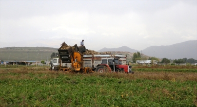 Kayseri Şeker, 6 ildeki pancar sahasından 3 milyon tonun üzerinde rekolte bekliyor