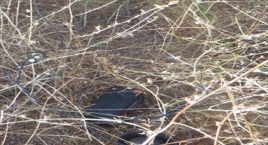 Kırşehir'de manyetik cihazla avlanan 2 kişiye para cezası