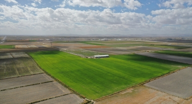 Konya'da arıtma çamuru organik gübre oluyor