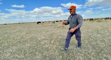 Kuruyan Akşehir Gölü büyükbaş hayvanlara 