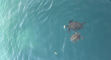 Mavi tura çıkanlara 