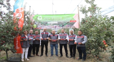 Niğde'de Elma Festivali düzenlenecek