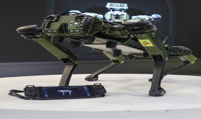 Robot köpek