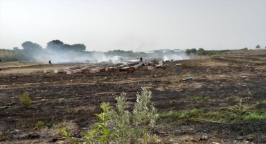 Serik'te çıkan otluk yangınında arı kovanları zarar gördü