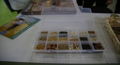 Silivri'de üretilen yerli tohumlar, Antalya'da yabancı alım heyetlerine tanıtıldı