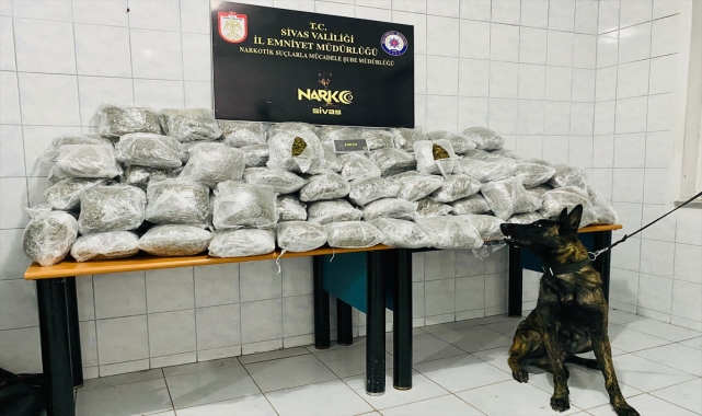 Sivas'ta 81 kilo 952 gram esrar ele geçirildi