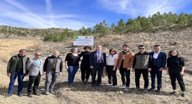 Sivas'ta fidanlar toprakla buluşturuldu