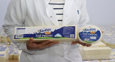 Sivas'ta kamu ortaklığında kurulan fabrikada süt ürünleri üretimi de başladı