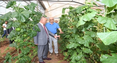 Vali Yazıcı, tohum üretimi yapan firmayı ziyaret etti