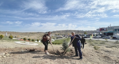 Yamula Barajı çevresine 3 bin 500 fidan dikildi