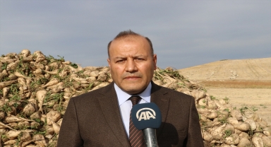 Yozgat'ta şeker pancarında 650 bin ton rekolte bekleniyor