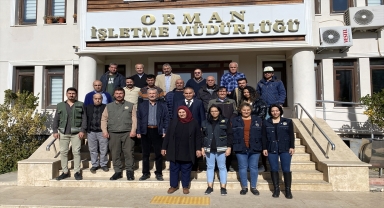 11 Kasım Milli Ağaçlandırma Günü'ne doğru