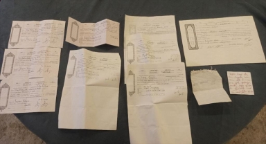 50 ildeki eş zamanlı 