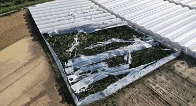 Antalya'da çıkan hortumda muz seraları zarar gördü