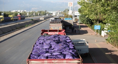 Antalya'da kalite yönetmeliğine uymayan 295 ton kömür il dışına çıkarıldı