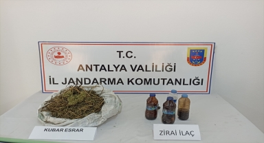 Antalya'da muz bahçesinde esrar ele geçirildi, bir şüpheli gözaltına alındı