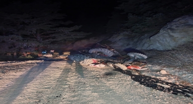 Çankırı'da devrilen traktörün sürücüsü öldü