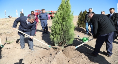 Çubuk ve Nallıhan'da fidanlar toprakla buluşturuldu