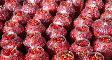 Emekli memur markalaştırdığı 