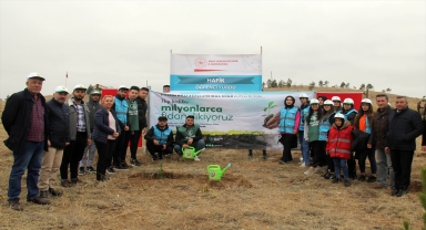 Hafik'te 1250 fidan toprakla buluşturuldu