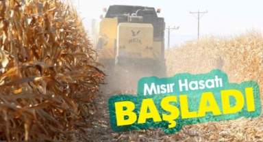 Karaman Ovasında yemlik mısır hasadı başladı
