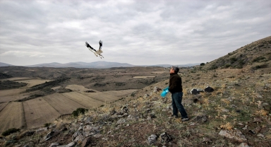 Kayseri'de tedavileri tamamlanan Mısır akbabası ve kaya kartalı doğaya bırakıldı