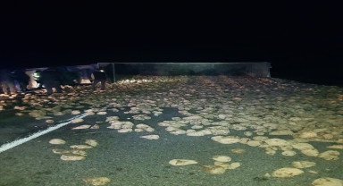 Kırıkkale'de devrilen tırdan dökülen şeker pancarları ulaşımı aksattı