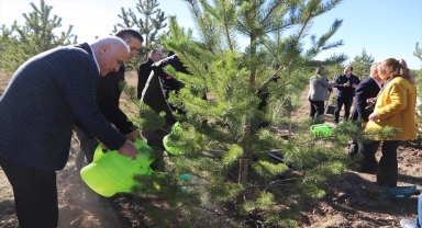 Kızılcahamam'da 2 bin fidan toprakla buluşturuldu