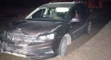 Ticari araç yola çıkan domuza çarptı