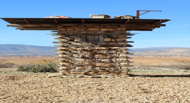 Kovanları ayı saldırısından 