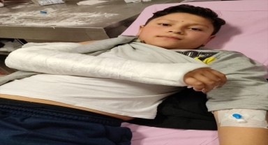 Mamak'ta sahipsiz köpeklerin saldırdığı 2 öğrenci yaralandı