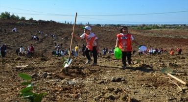 Manavgat'ta geçen yıl yanan alanlara fidan dikildi