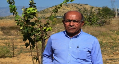 Manavgat yangınının tarımsal zararı da gideriliyor