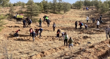 Nevşehir, Kırşehir ve Kayseri'de fidanlar toprakla buluşturuldu