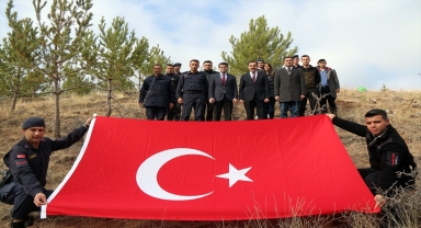 Şarkışla'da 2 bin fidan toprakla buluşturuldu