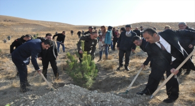 Yerköy ve Sorgun'da Milli Ağaçlandırma Günü'nde fidanlar toprakla buluşturuldu