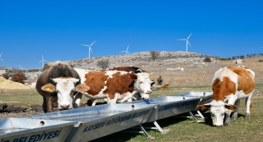 Büyükşehir Belediyesi tarım ve hayvancılığa bir yılda 100 milyon 780 bin liralık destek verdi