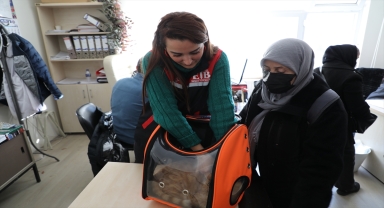 Eskişehir'de 19 bin 167 ev hayvanı kayıt altına alındı