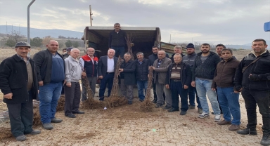 Güdül'de 9 bin hünnap fidanı dağıtıldı