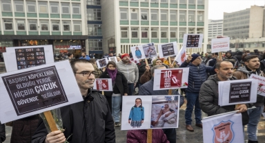 Güvenli Sokaklar Derneği, Hayvanları Koruma Kanununda değişiklik istedi